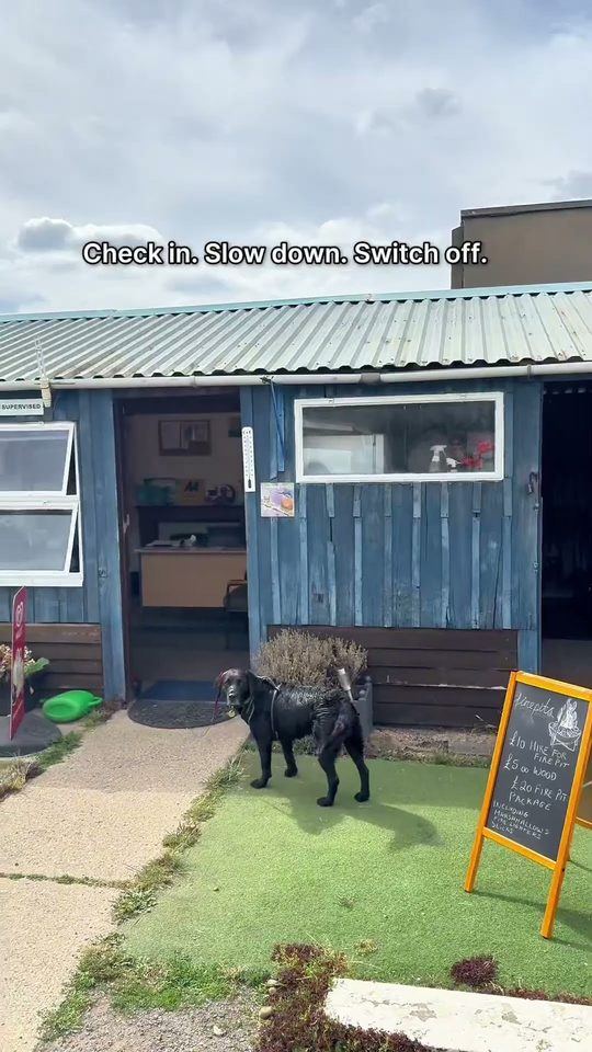 Edited short: a campsite reception hut with a dog outside and the caption Check in. Slow down. Switch off.